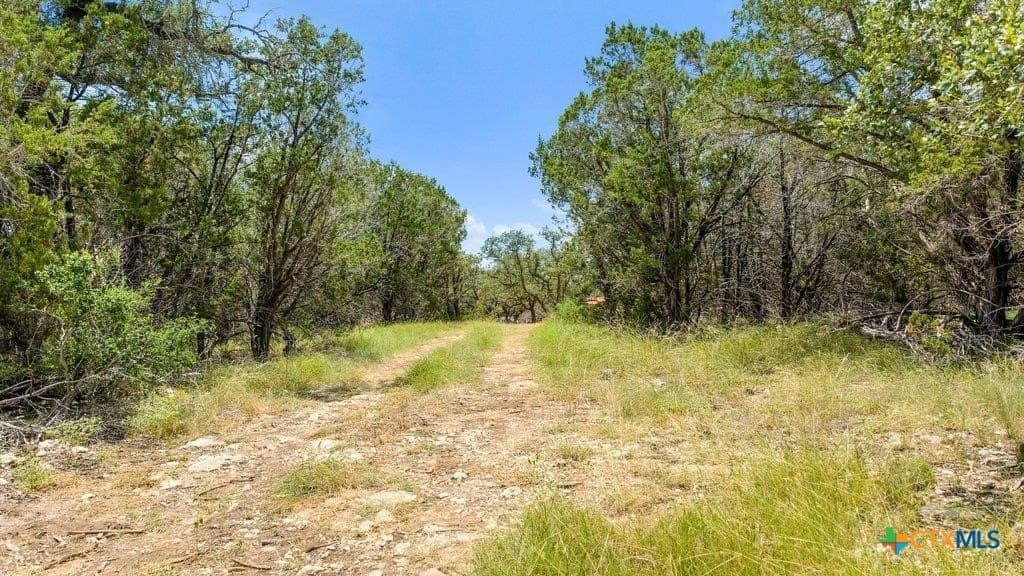 11 acres in Comal County - photo 8