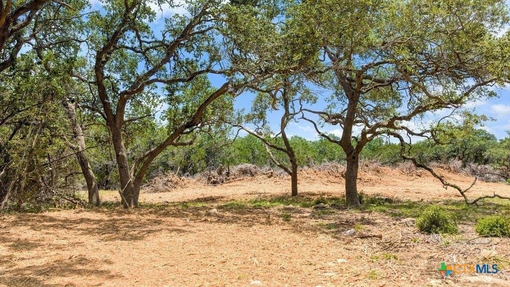 11 acres in Comal County - photo 2