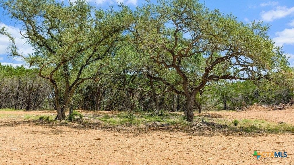 11 acres in Comal County - photo 9