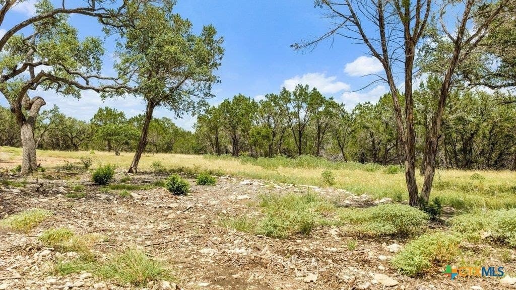 11 acres in Comal County - photo 4