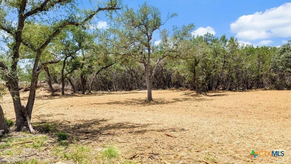 11 acres in Comal County - photo 3