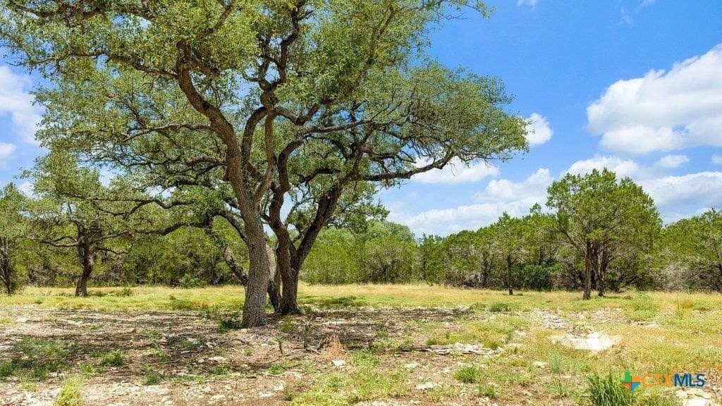 11 acres in Comal County