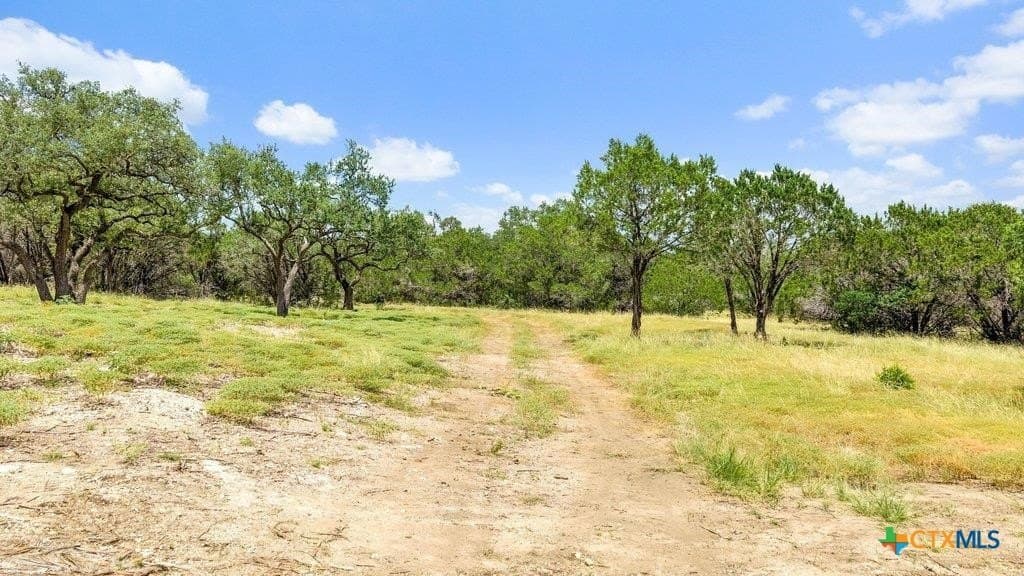 11 acres in Comal County - photo 5