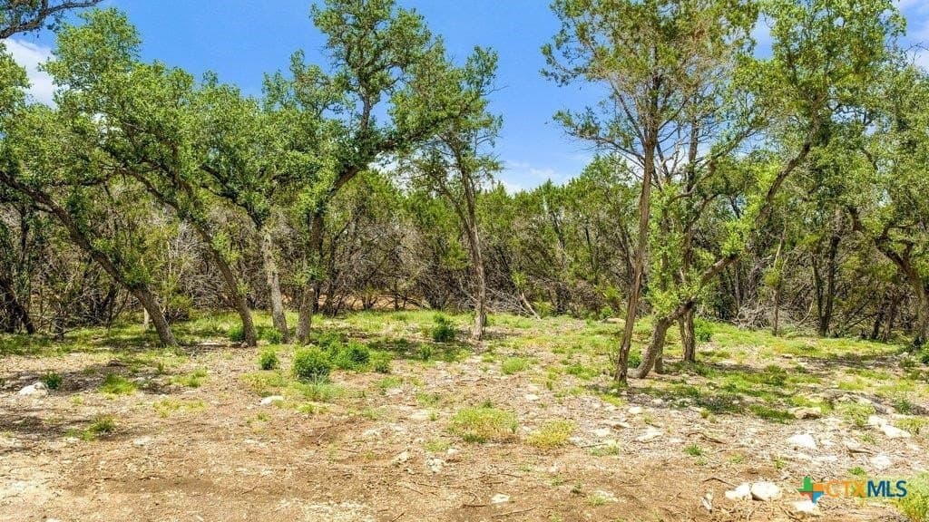 11 acres in Comal County - photo 6