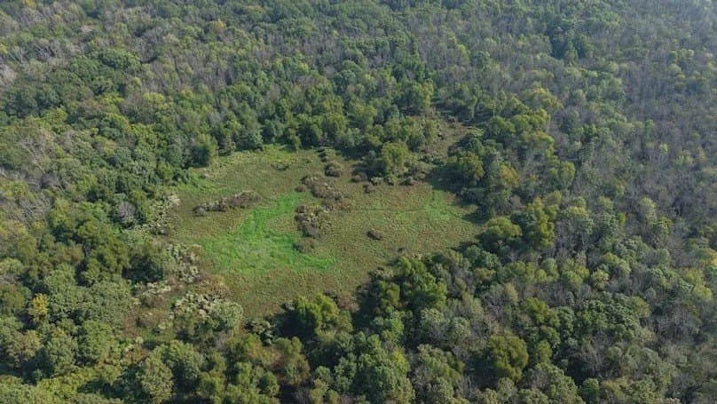92.88 acres in Bowie County - photo 19