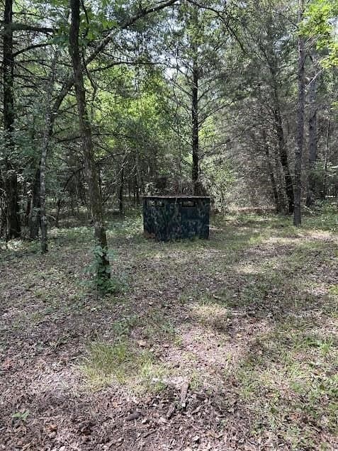 92.88 acres in Bowie County - photo 16