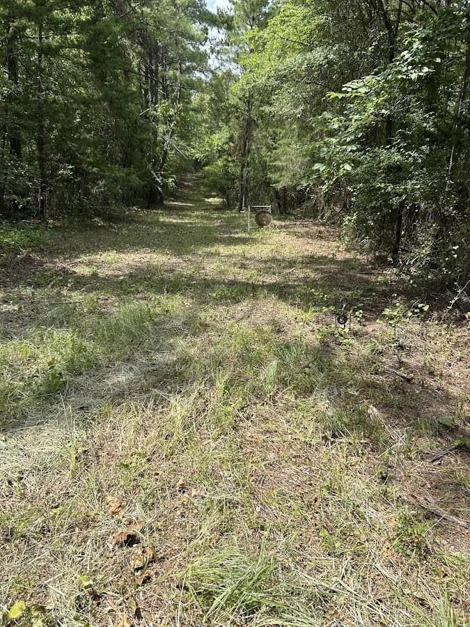 92.88 acres in Bowie County - photo 12