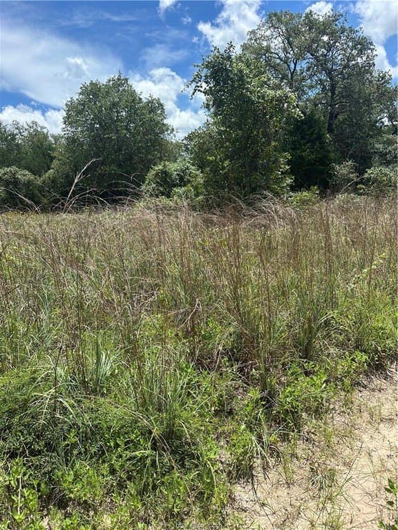 0.29 acres in Burleson County - photo 4