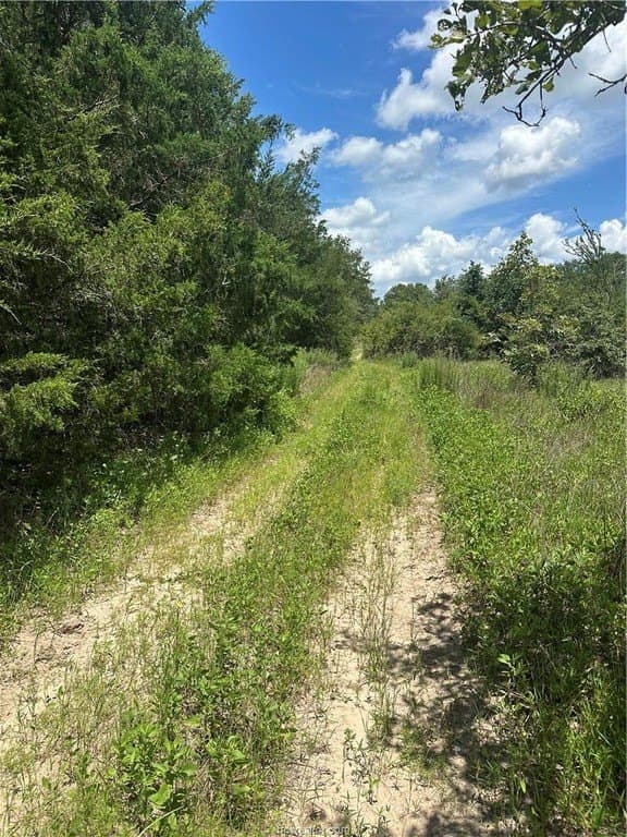 0.29 acres in Burleson County - photo 2