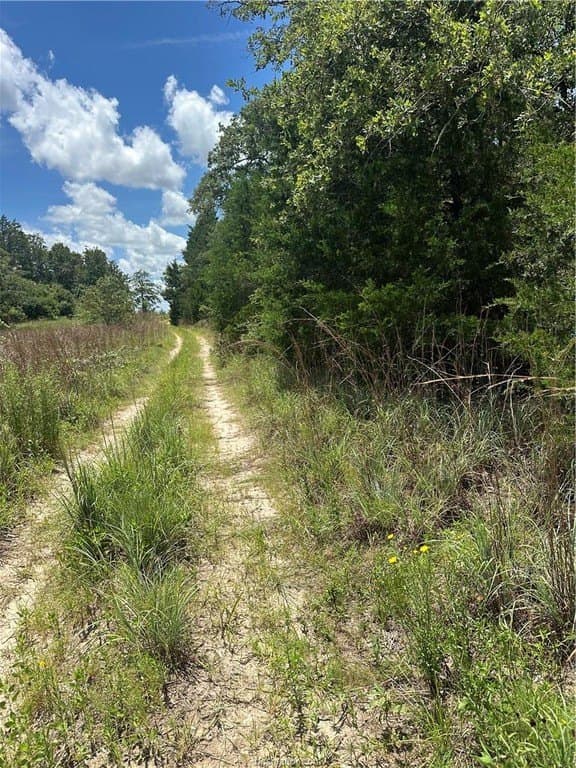 0.29 acres in Burleson County - photo 3