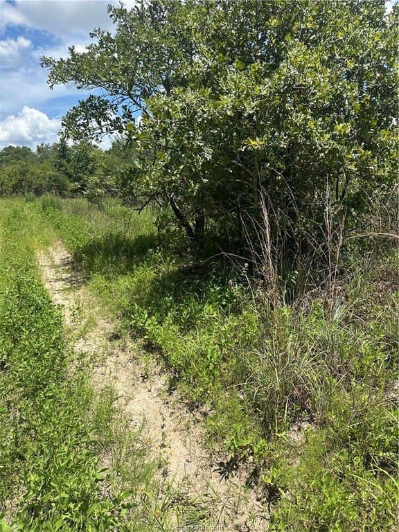 0.29 acres in Burleson County - photo 5