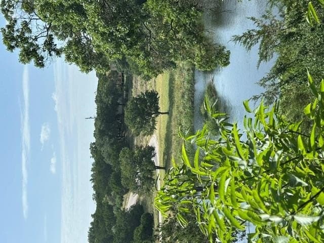 5.45 acres in Kerr County - photo 75