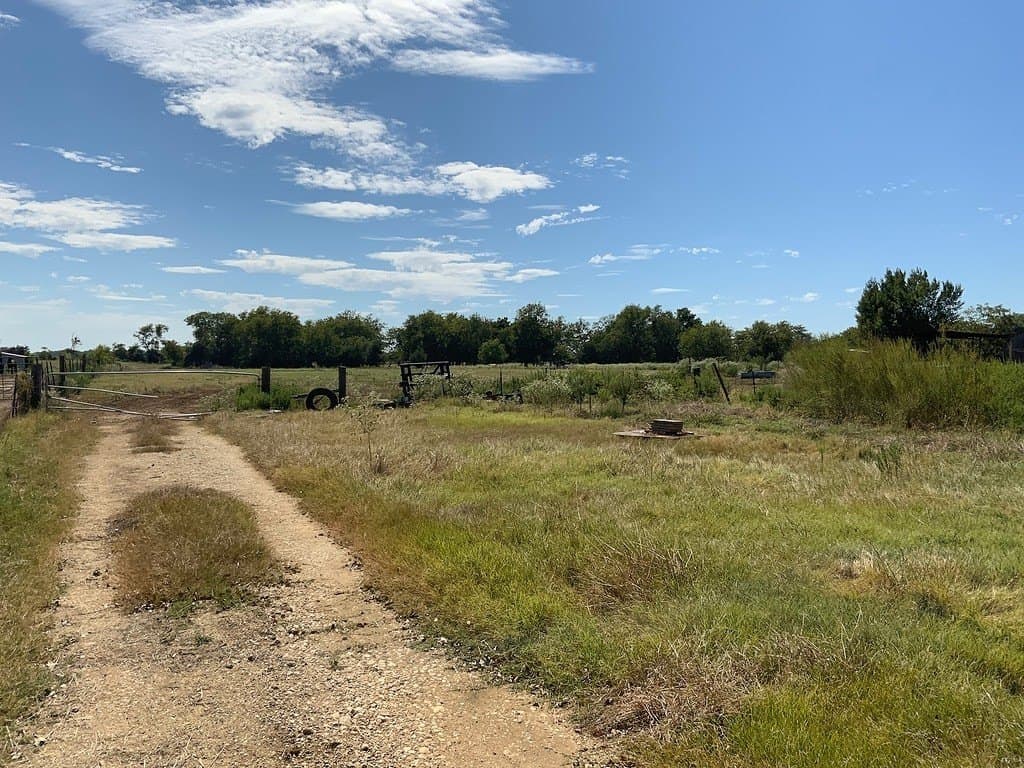 5 acres in Lee County gallery image 2