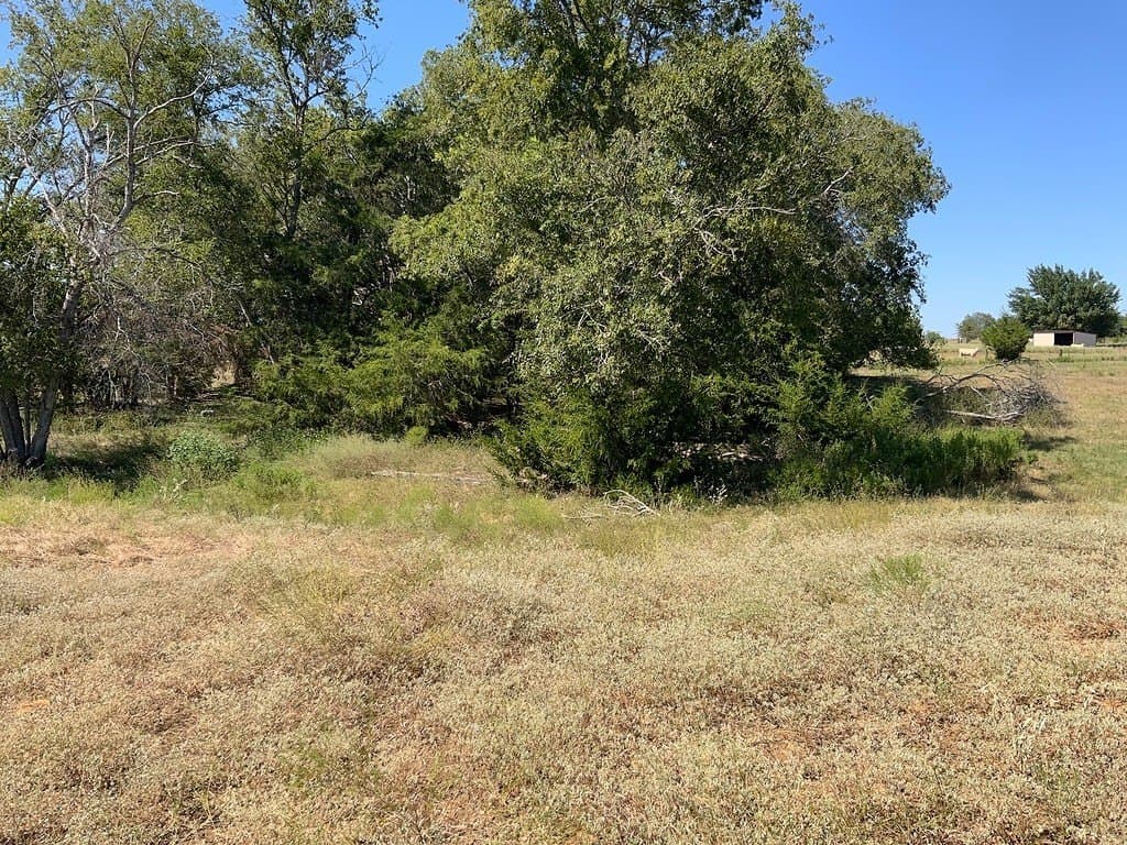 5 acres in Lee County featured view