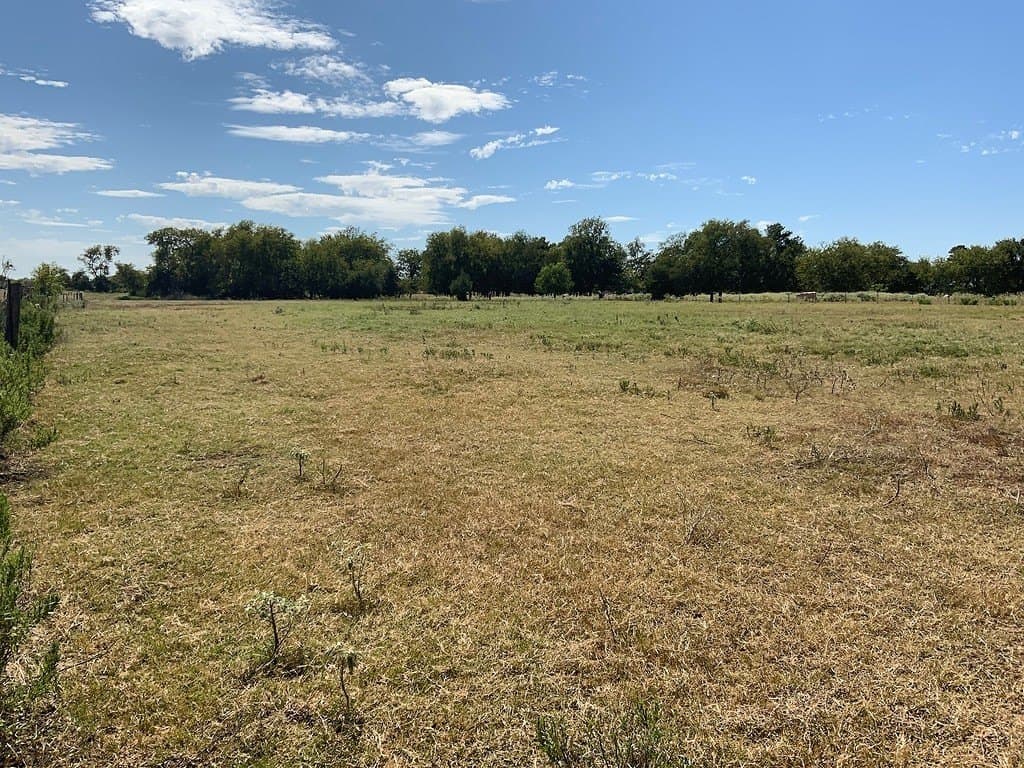 5 acres in Lee County