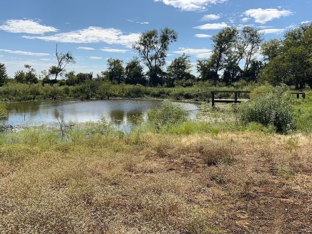 5 acres in Lee County gallery image 4