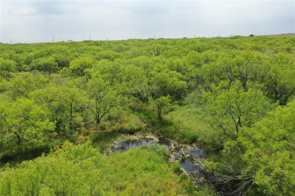 31.73 acres in Clay County
