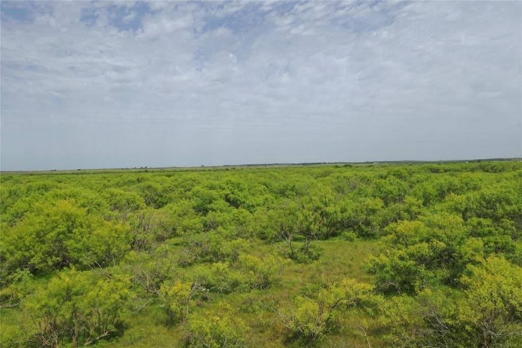 31.73 acres in Clay County gallery image 3