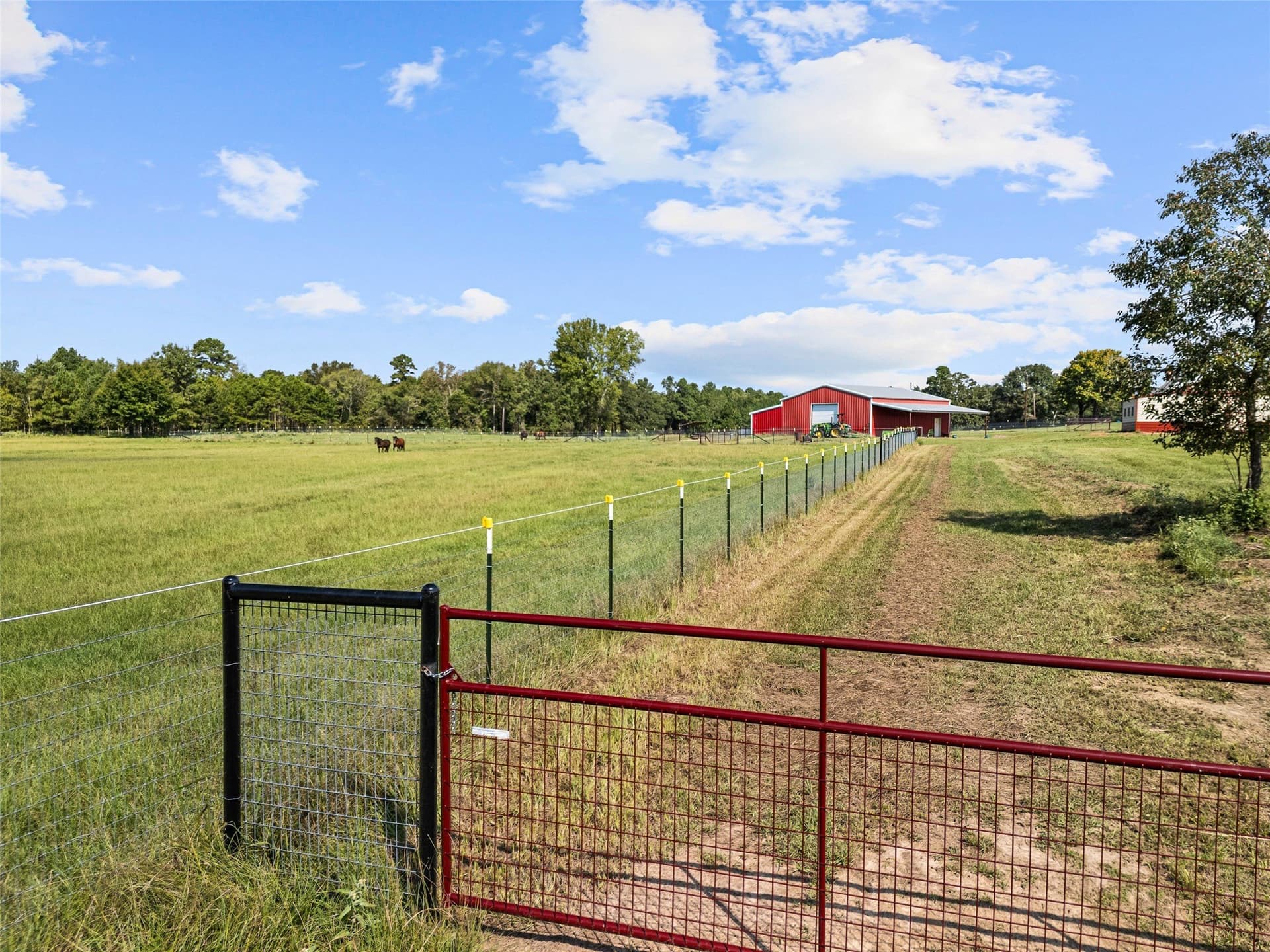 64 acres in Upshur County - photo 27