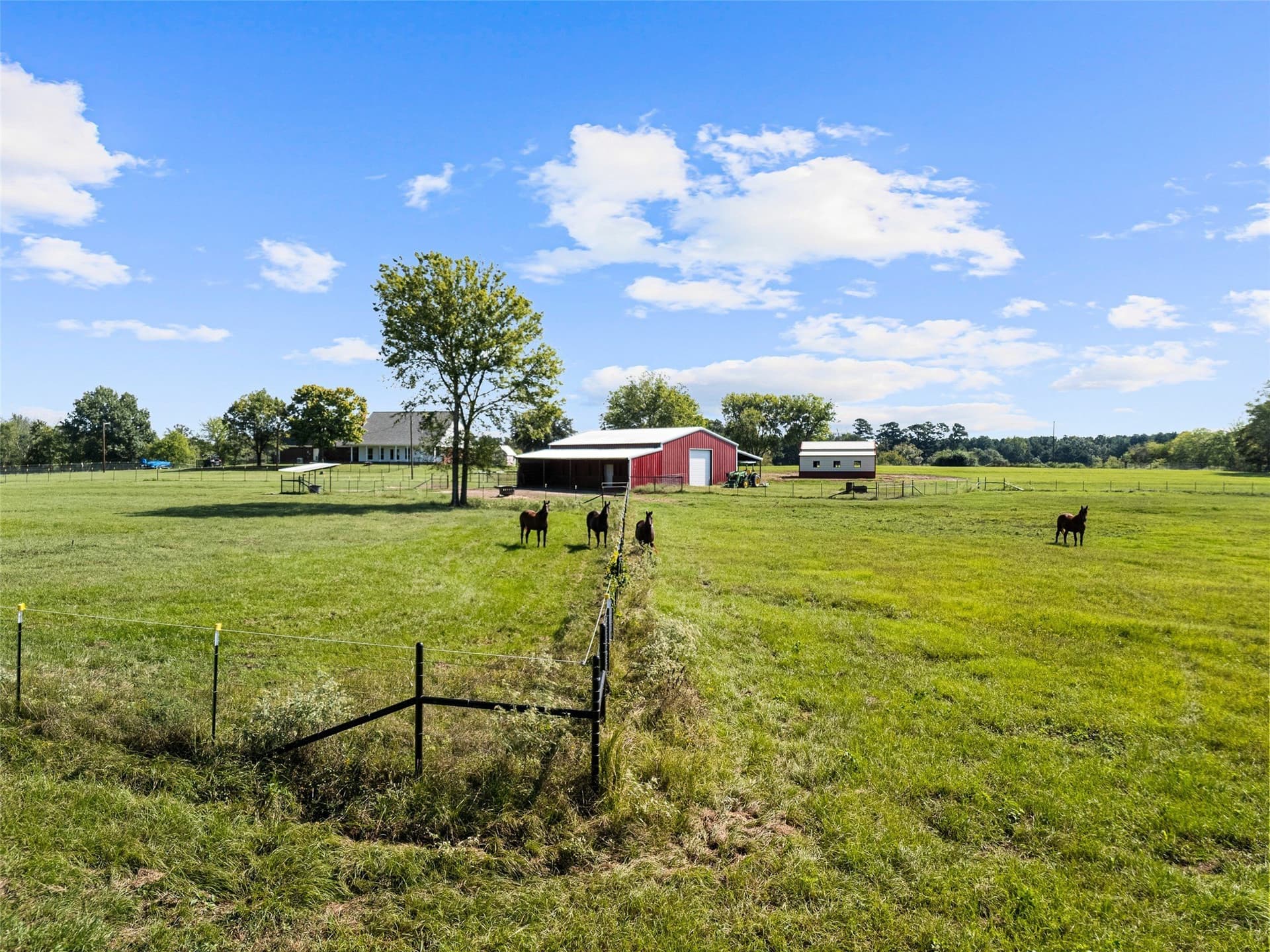 64 acres in Upshur County - photo 28