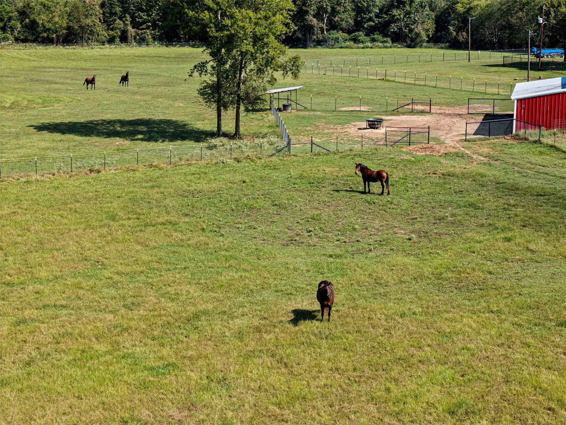 64 acres in Upshur County - photo 35