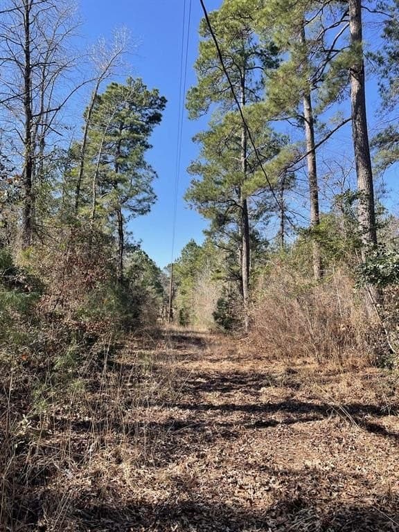 17.7 acres in Smith County featured view