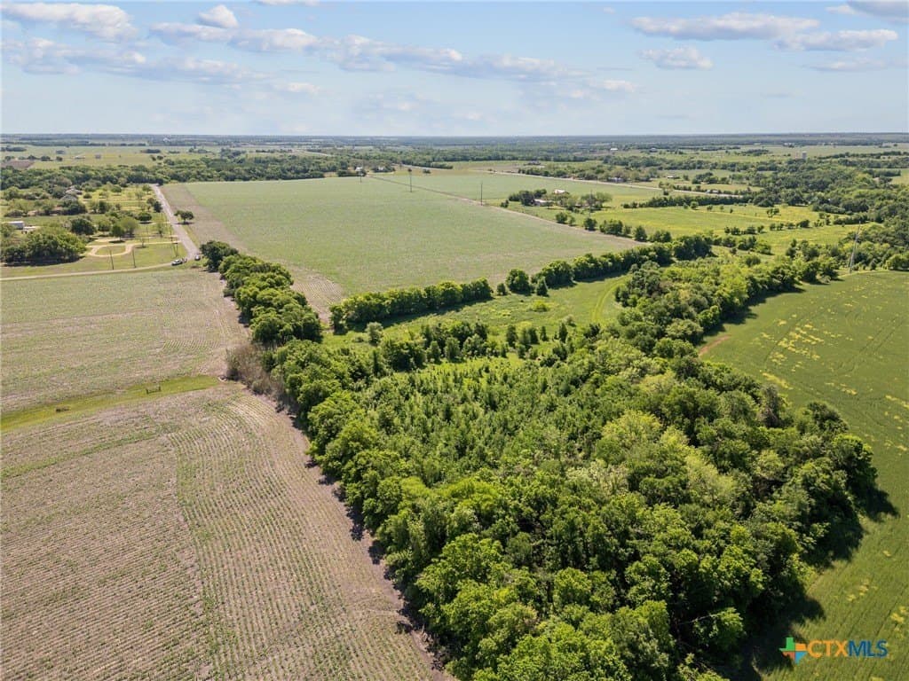 39.88 acres in Bell County gallery image 4
