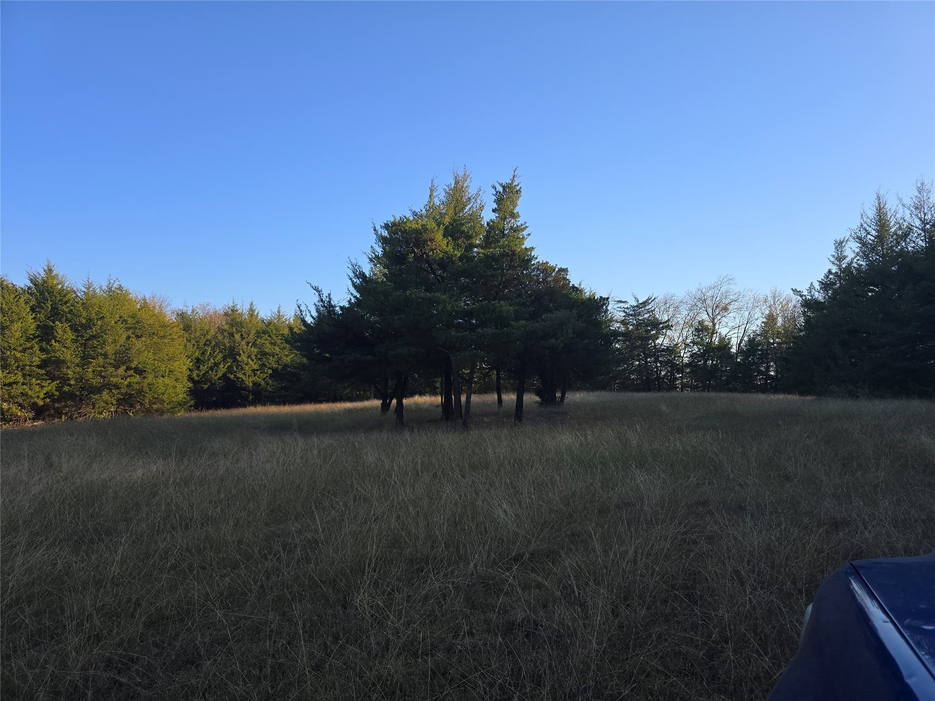 42 acres in Lamar County - photo 13