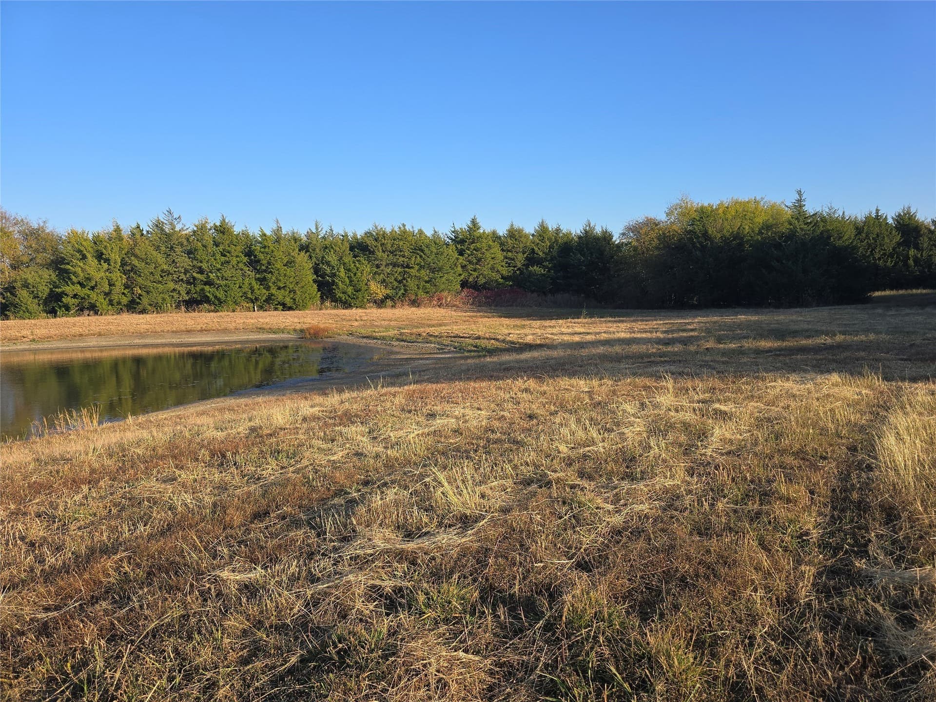 42 acres in Lamar County - photo 8