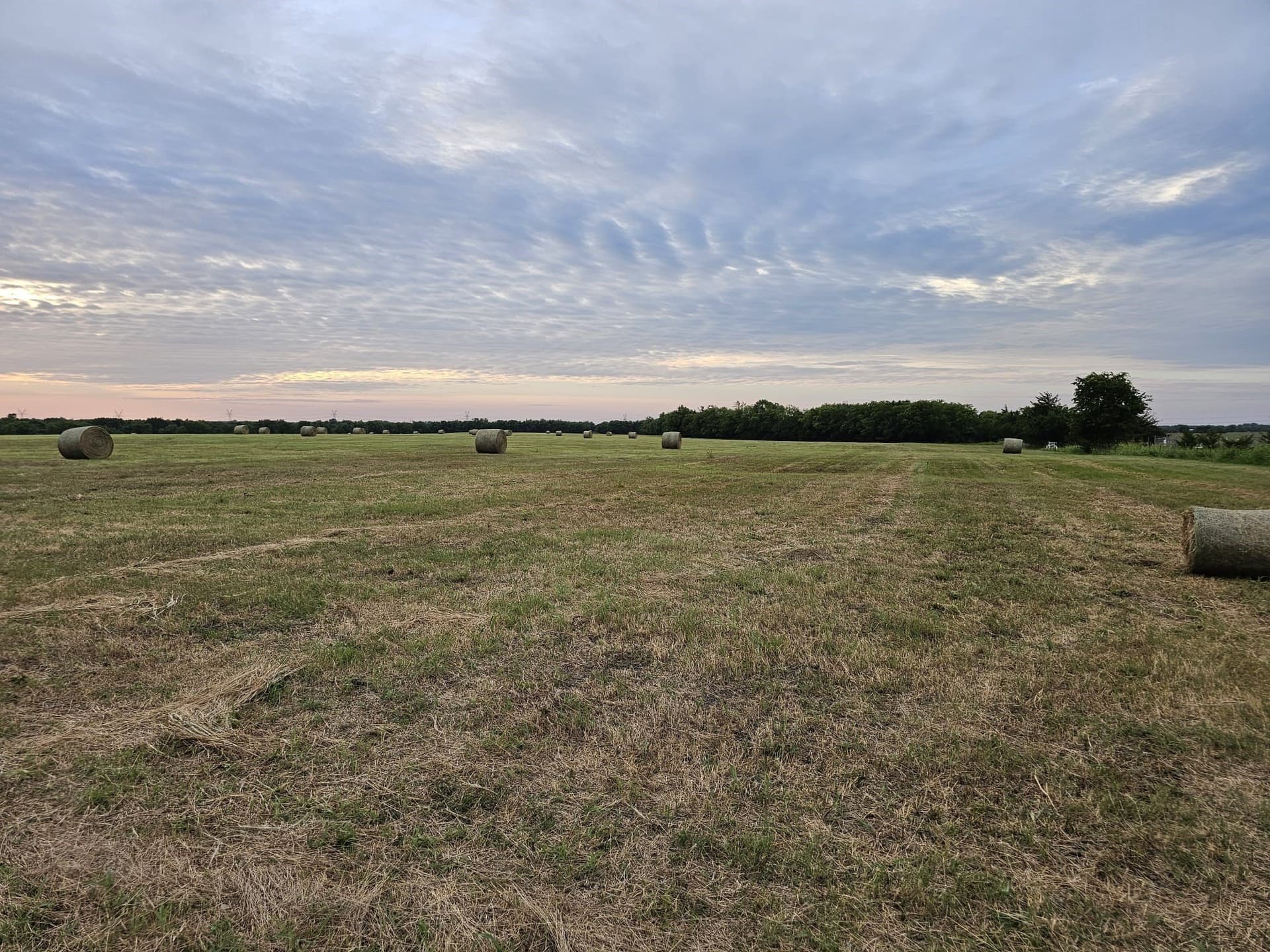 42 acres in Lamar County - photo 16