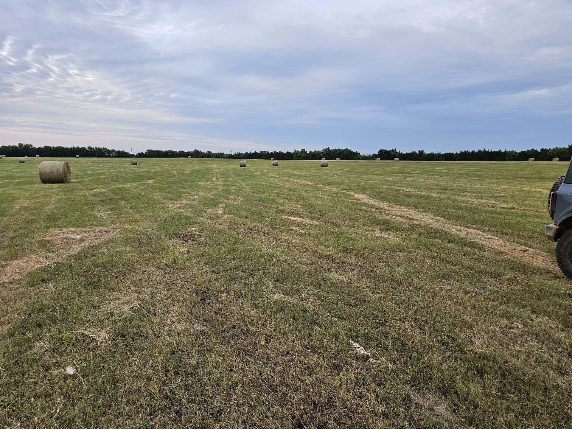42 acres in Lamar County - photo 15