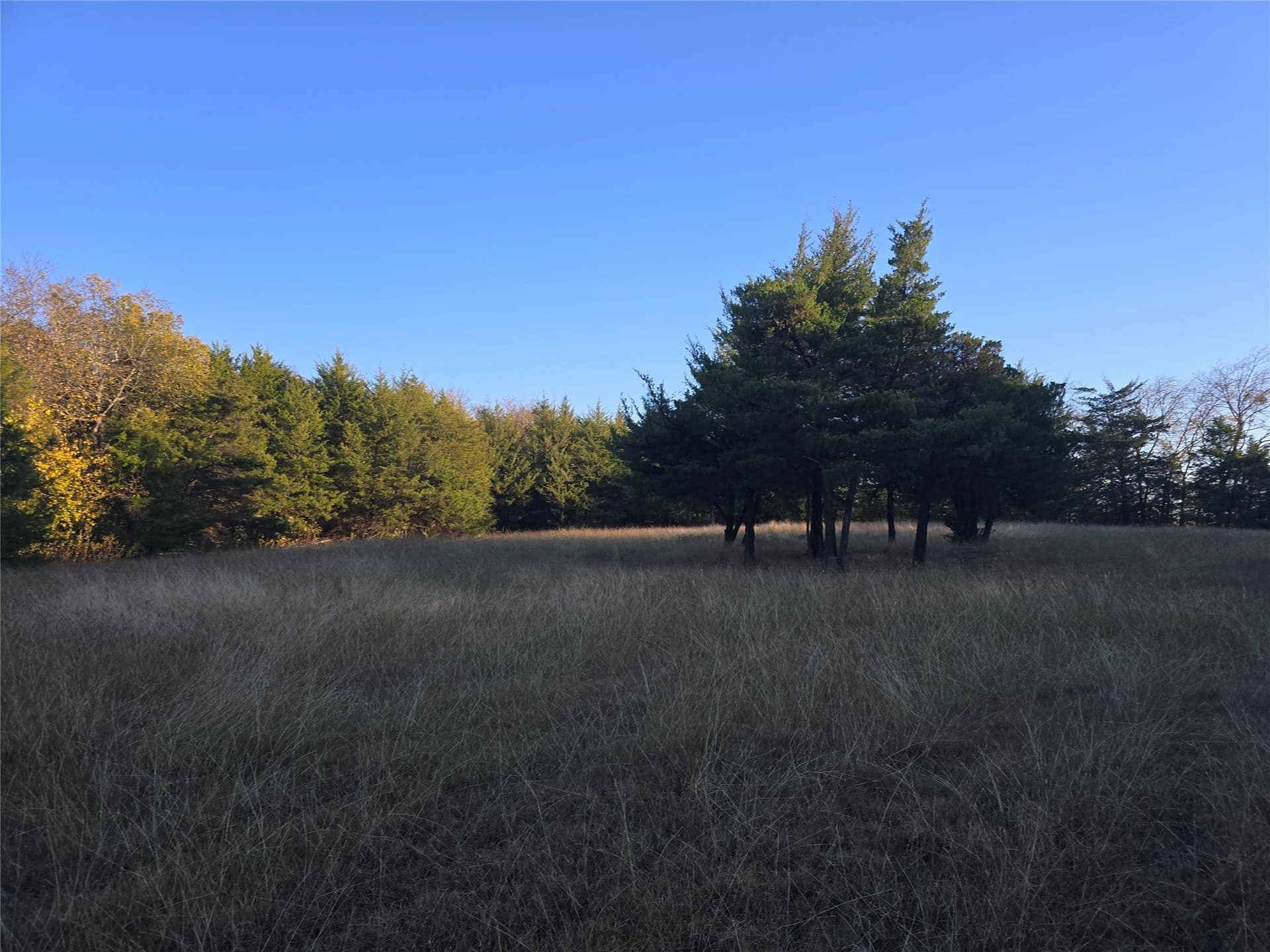 42 acres in Lamar County - photo 12