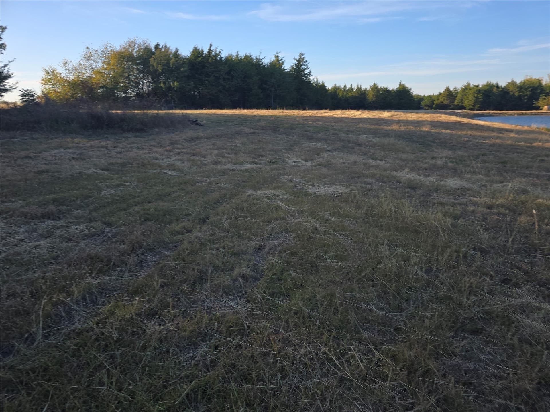 42 acres in Lamar County - photo 10
