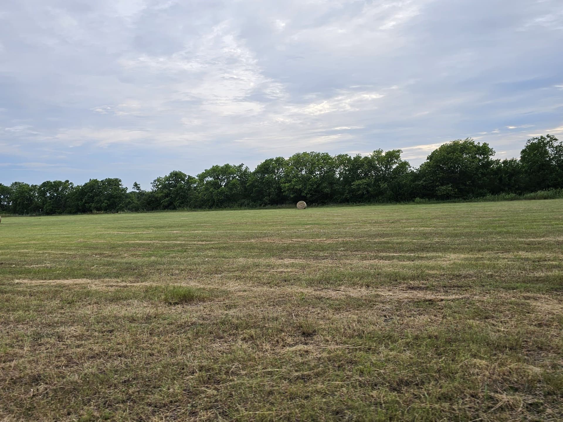 42 acres in Lamar County gallery image 4