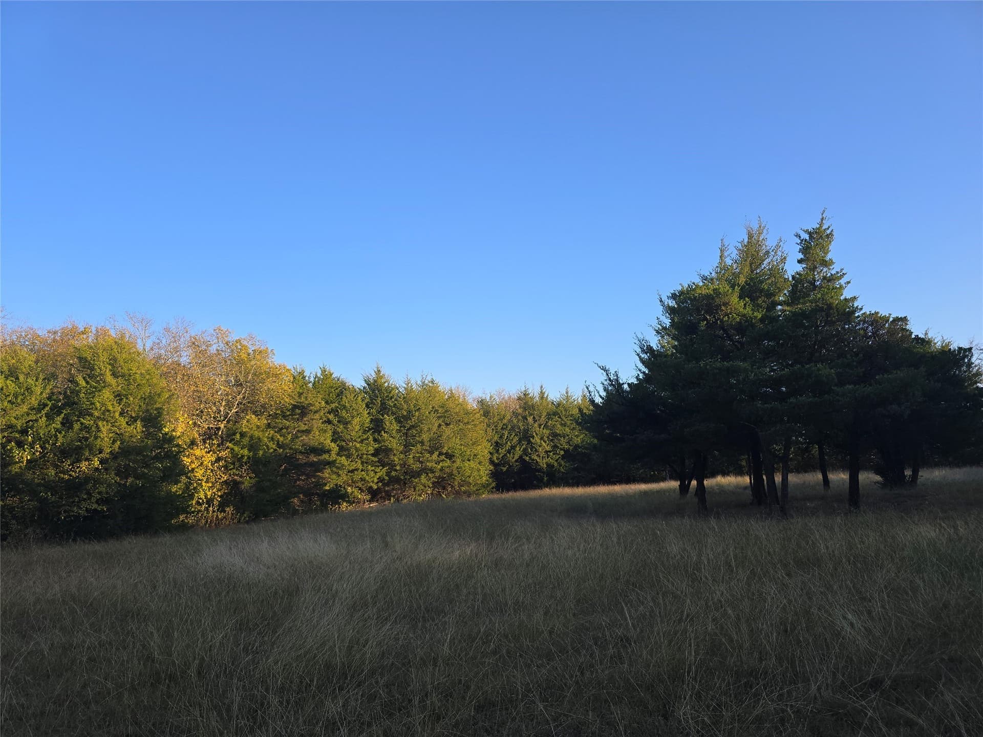 42 acres in Lamar County - photo 14