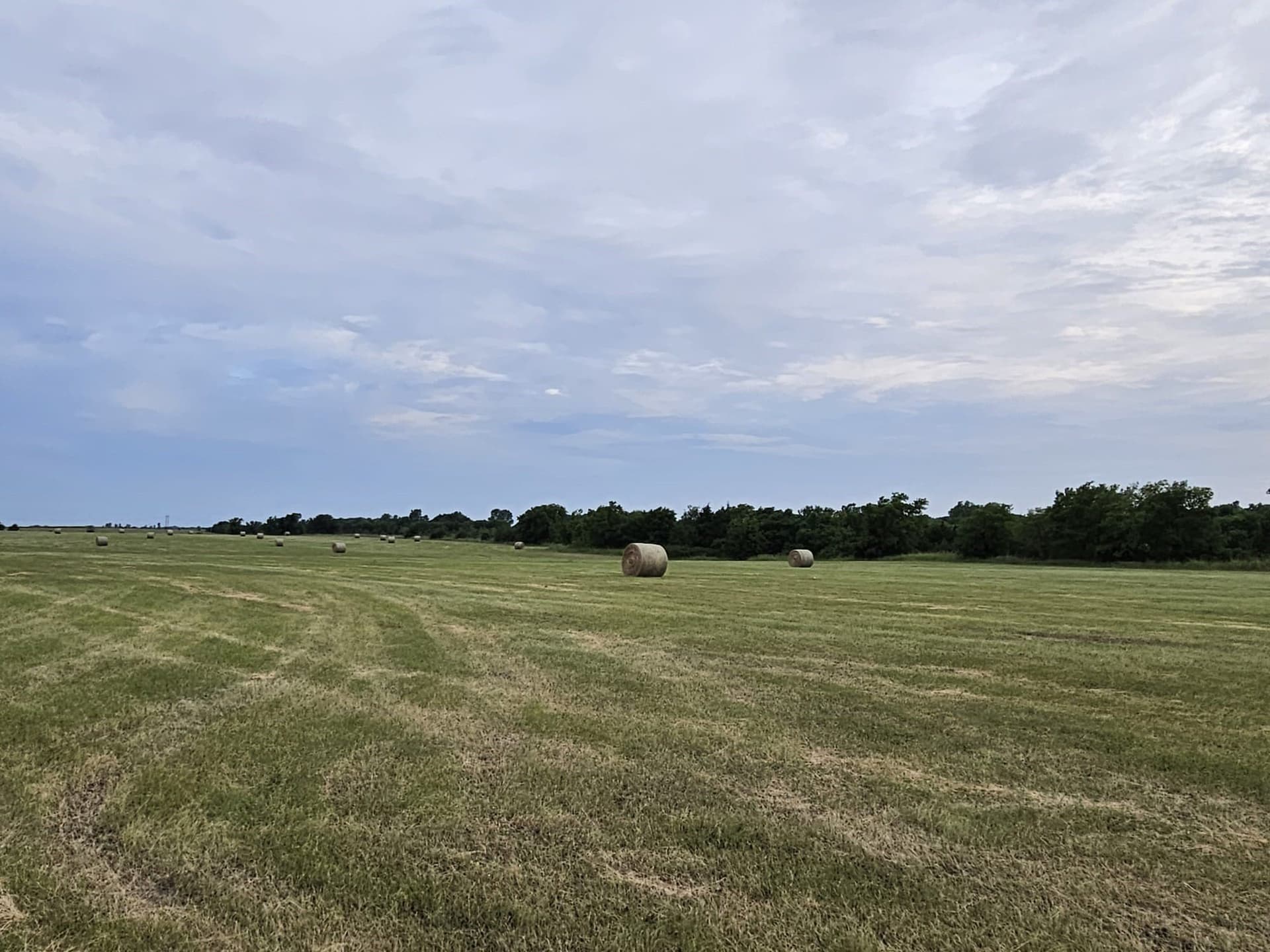 42 acres in Lamar County - photo 7