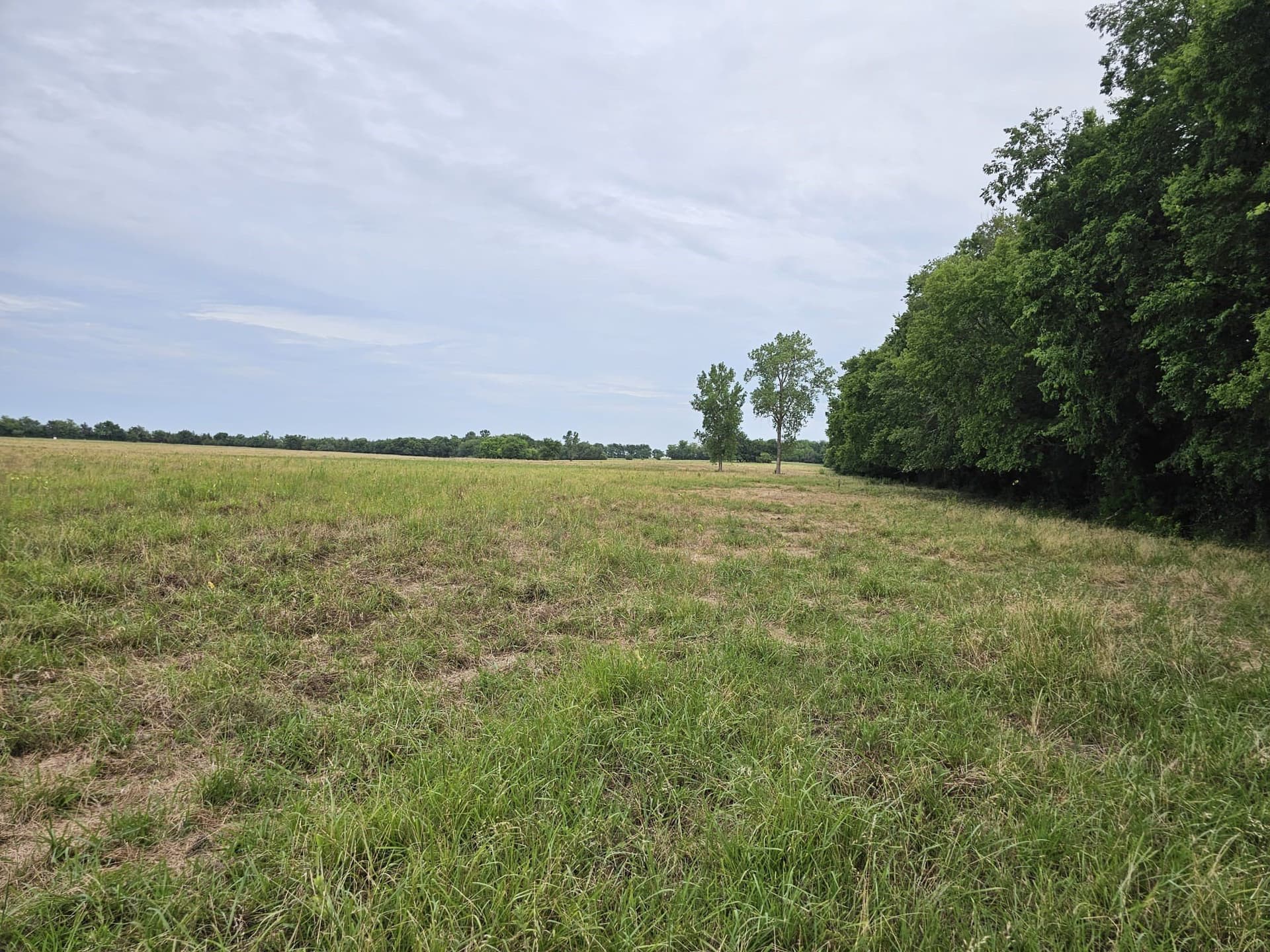 42 acres in Lamar County - photo 21