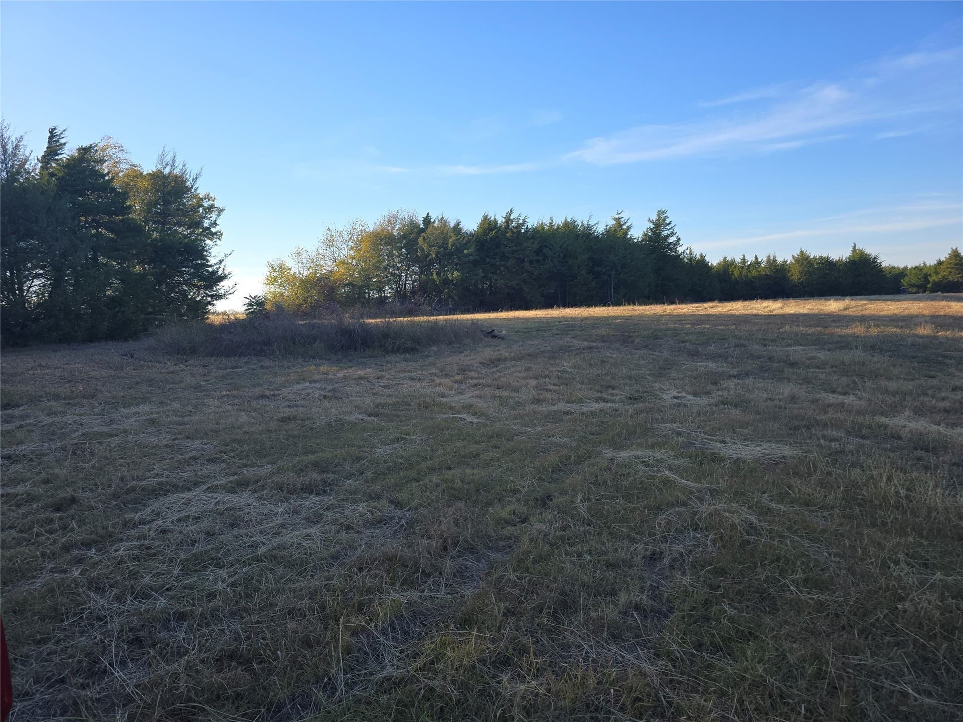 42 acres in Lamar County - photo 11
