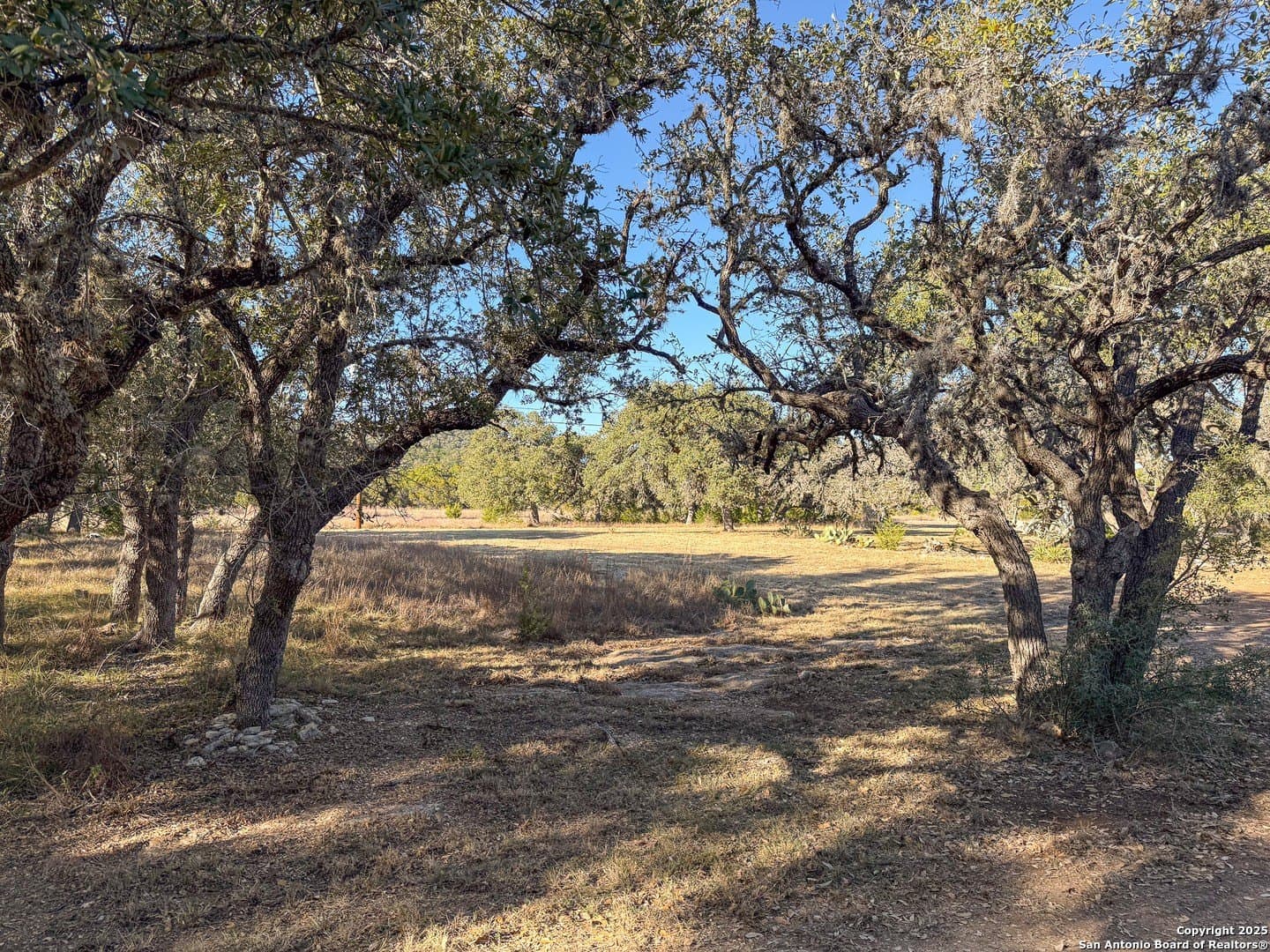 15.29 acres in Bandera County gallery image 3