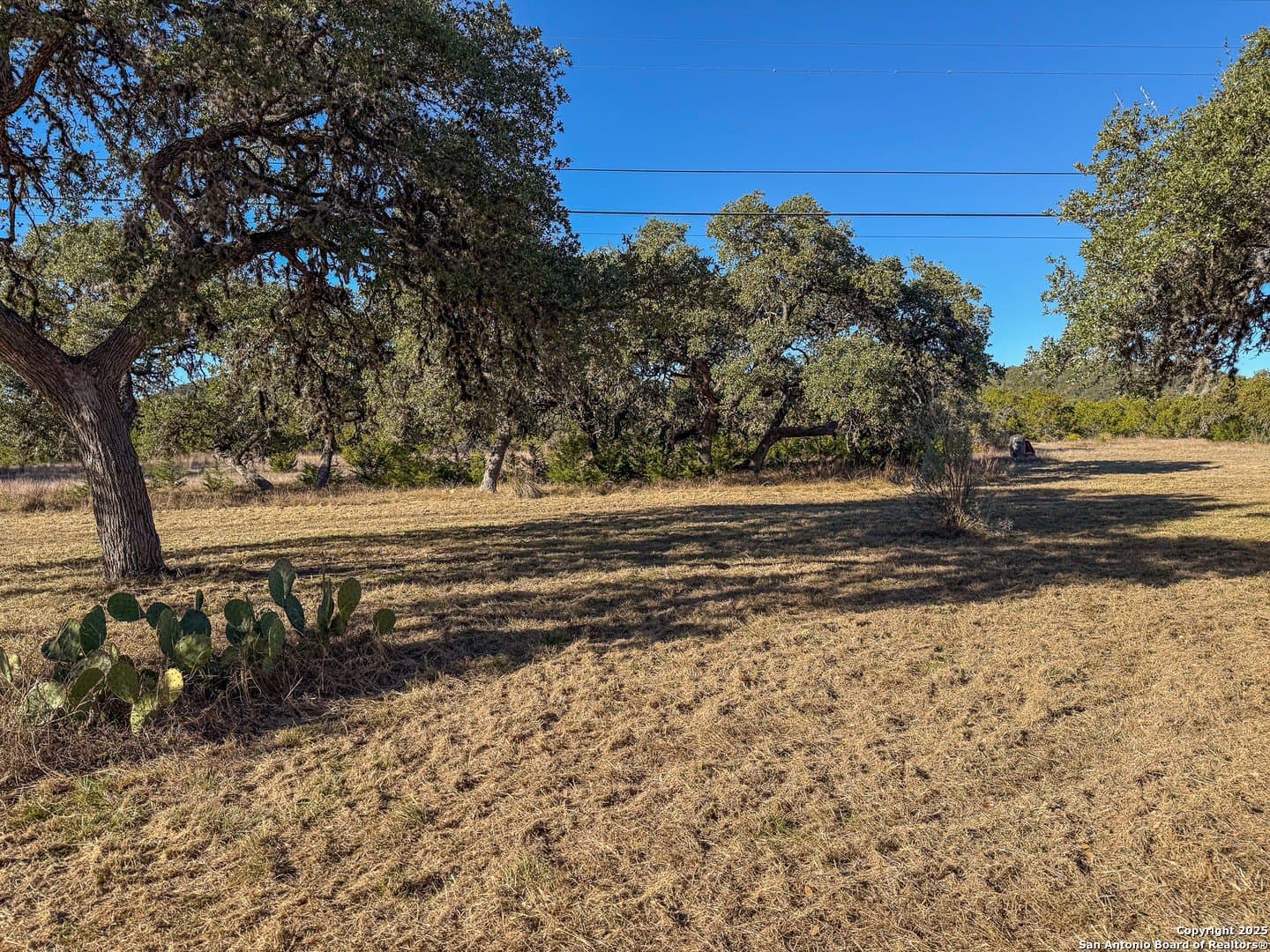 15.29 acres in Bandera County gallery image 4