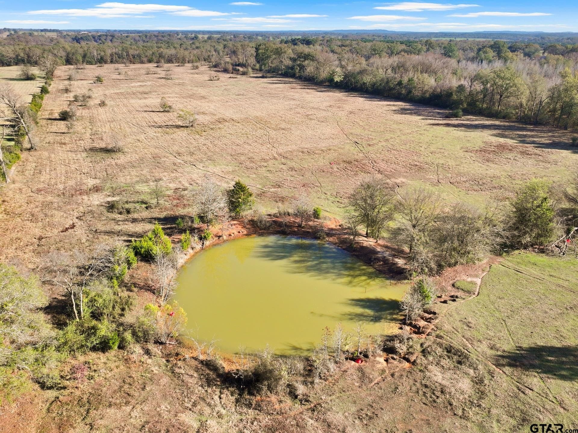 41.67 acres in Titus County - photo 4