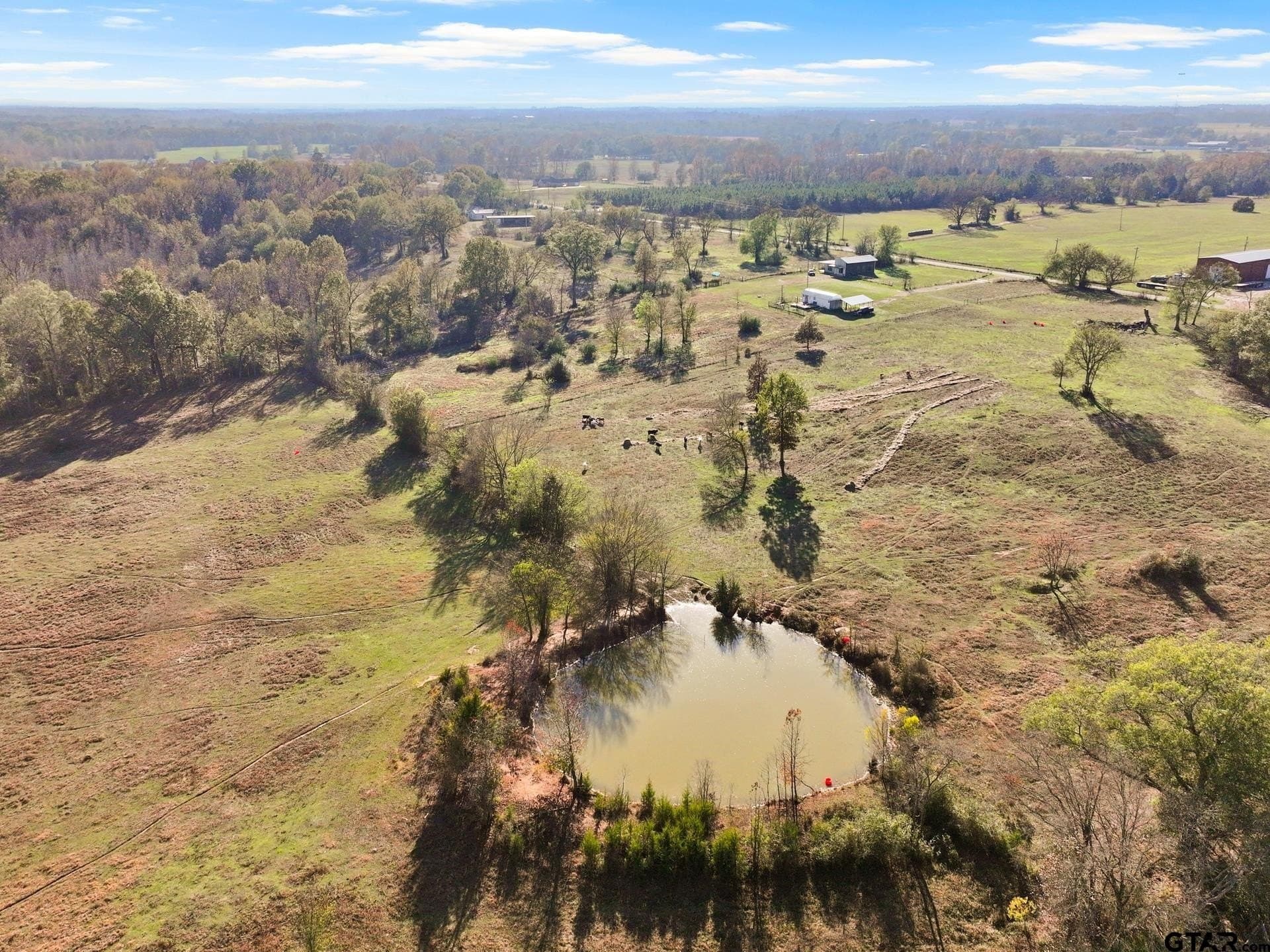 41.67 acres in Titus County - photo 7