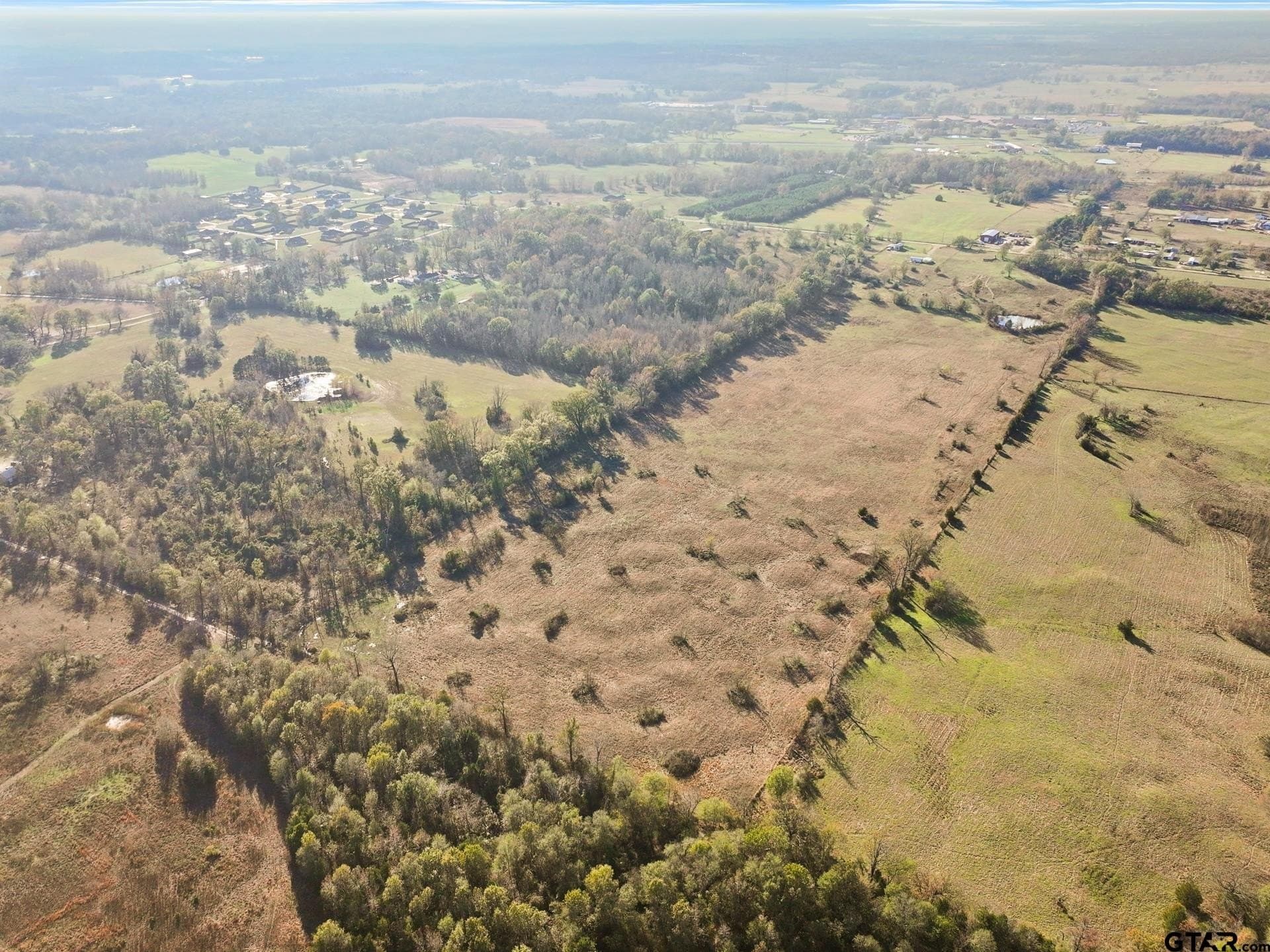 41.67 acres in Titus County - photo 11