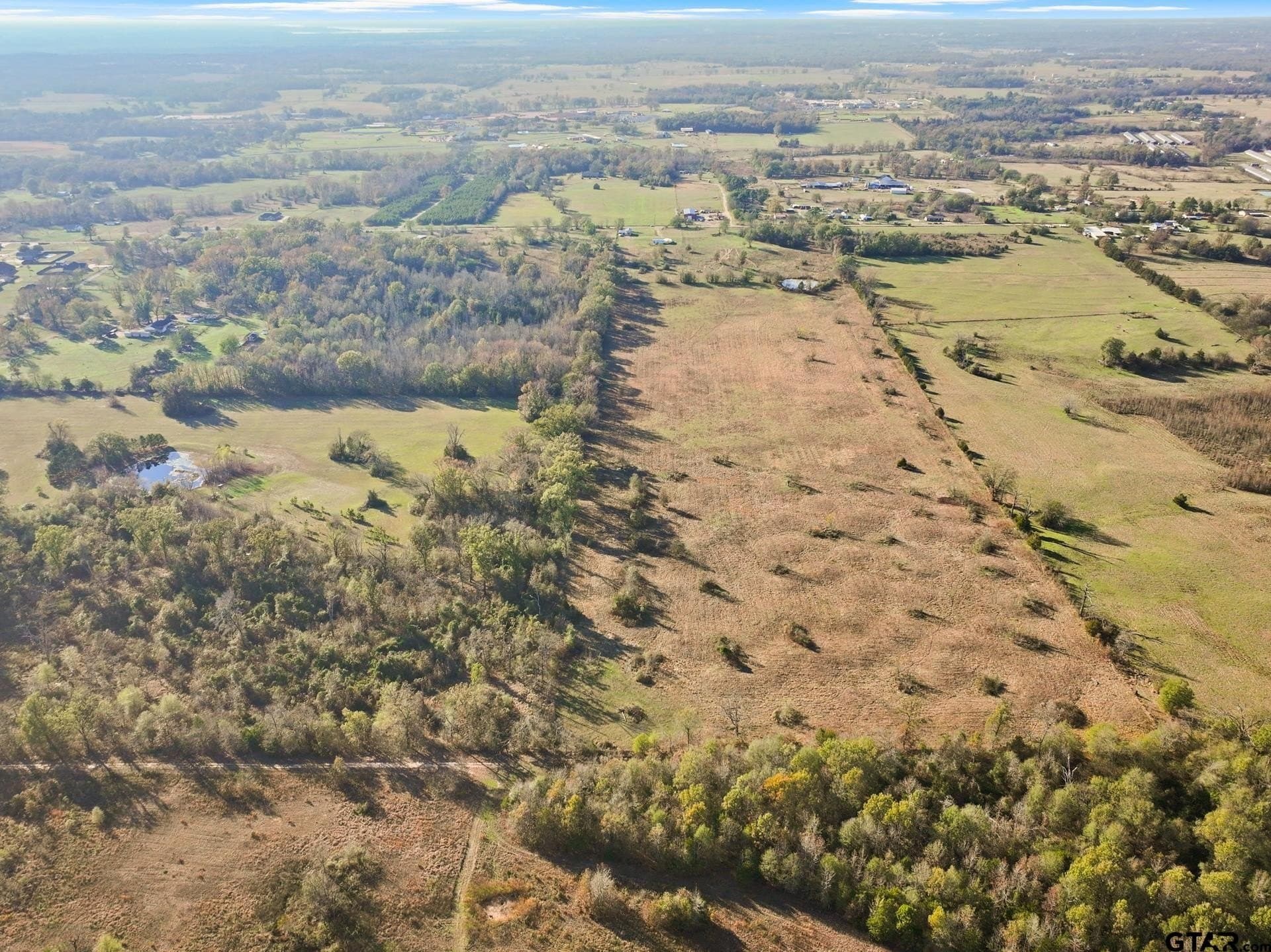 41.67 acres in Titus County - photo 12