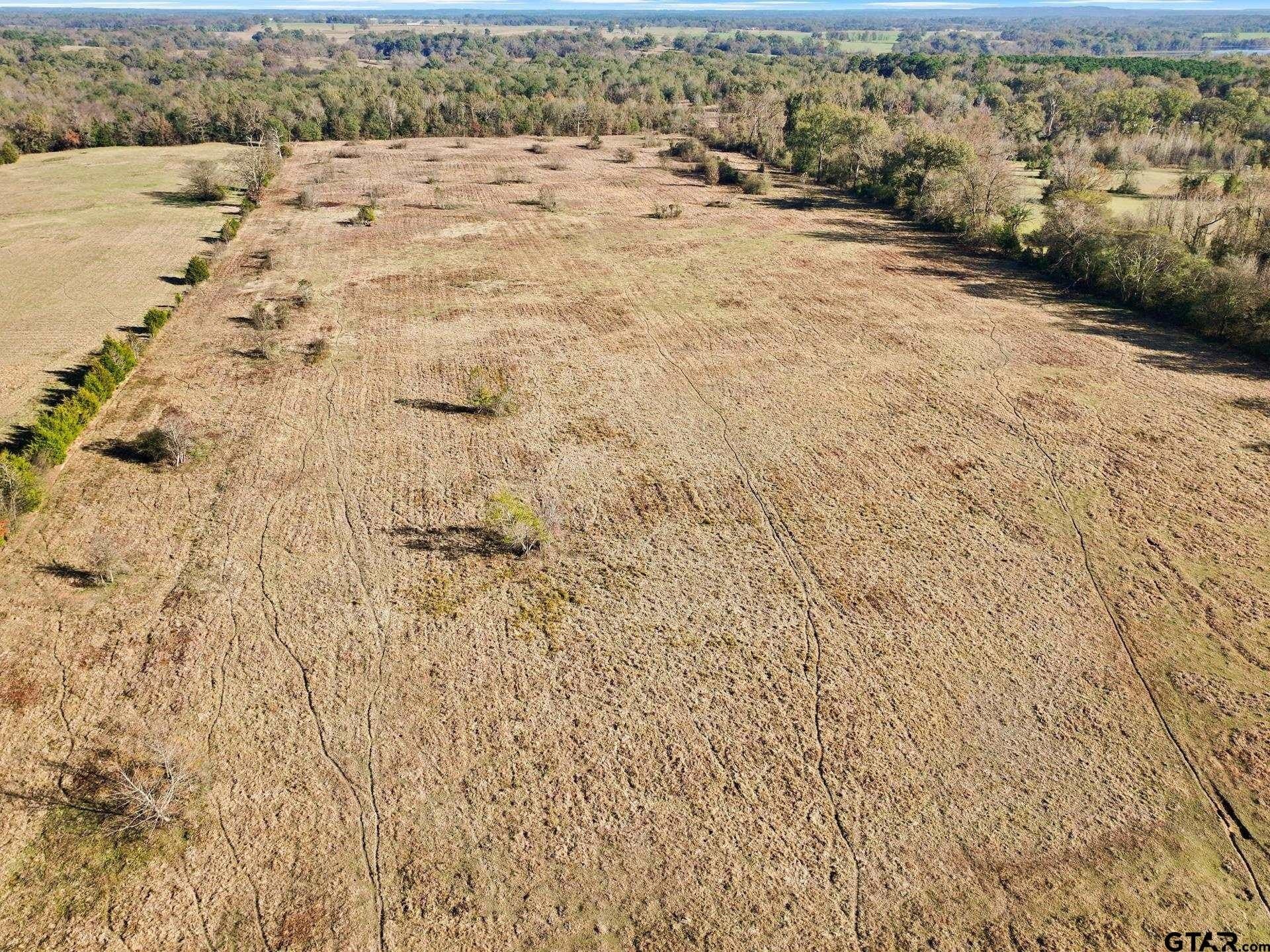 41.67 acres in Titus County - photo 5
