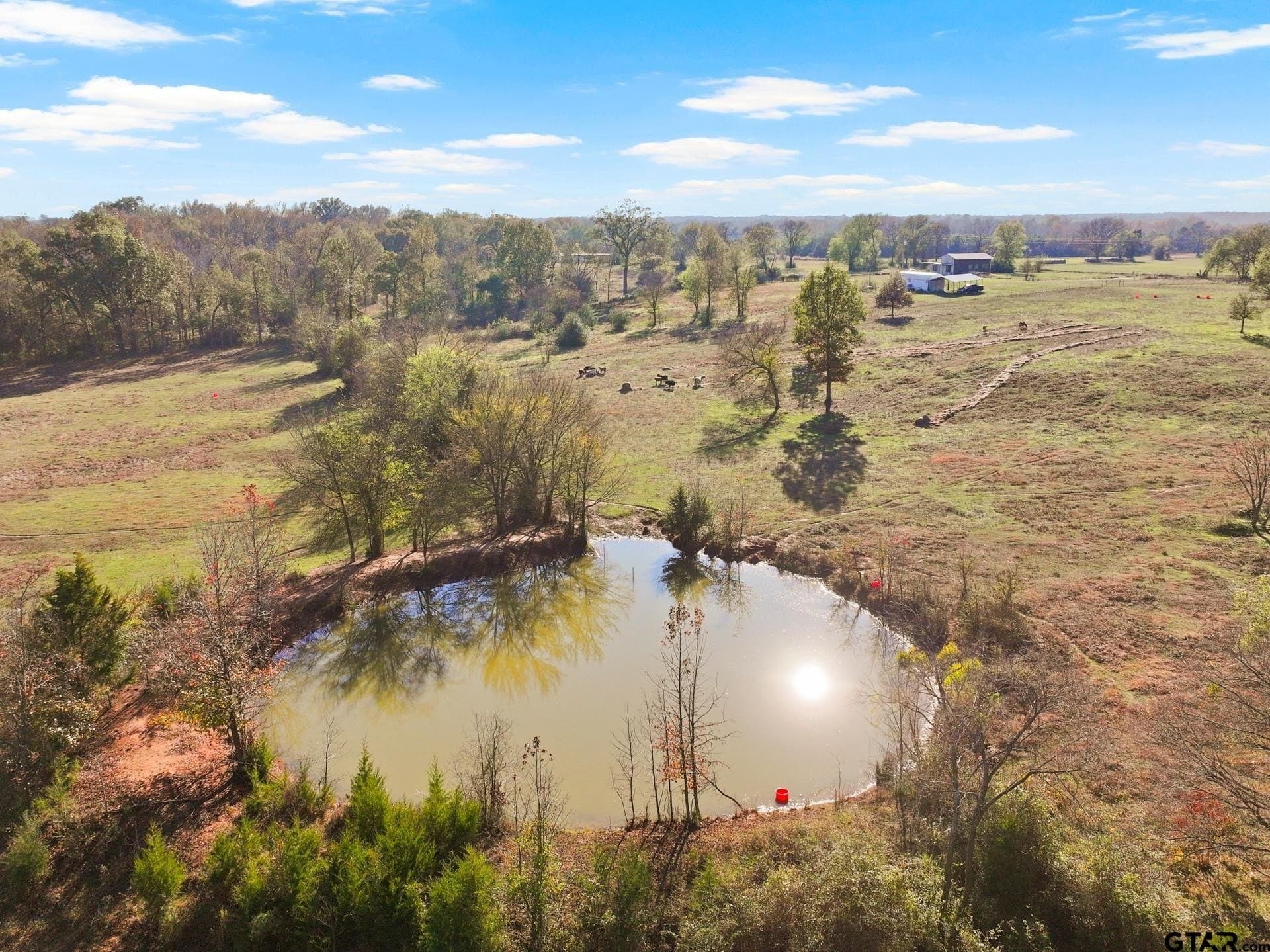 41.67 acres in Titus County - photo 6