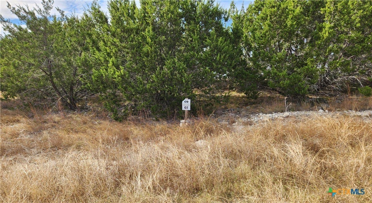 6.8 acres in Burnet County gallery image 3