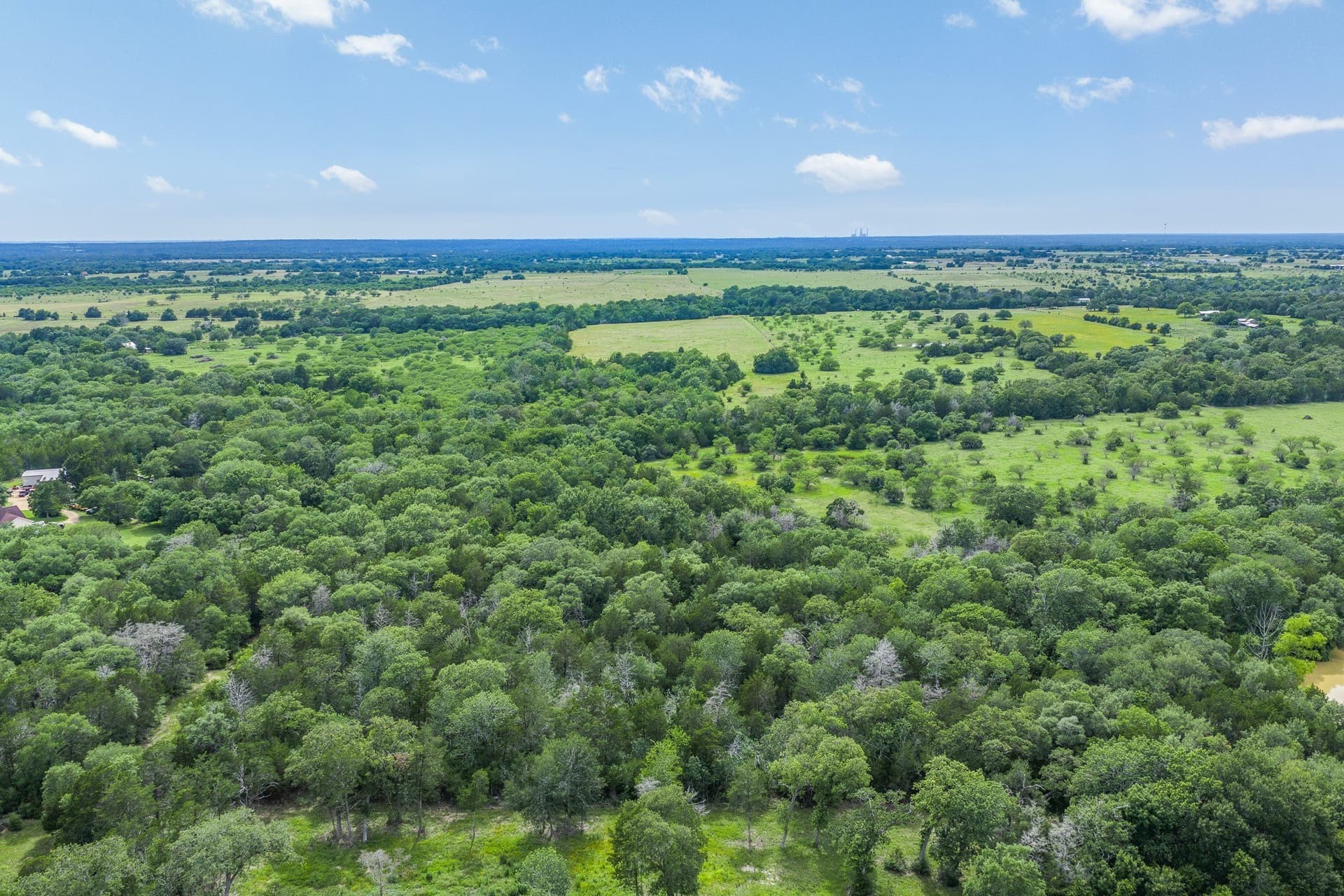 35 acres in Colorado County - photo 23