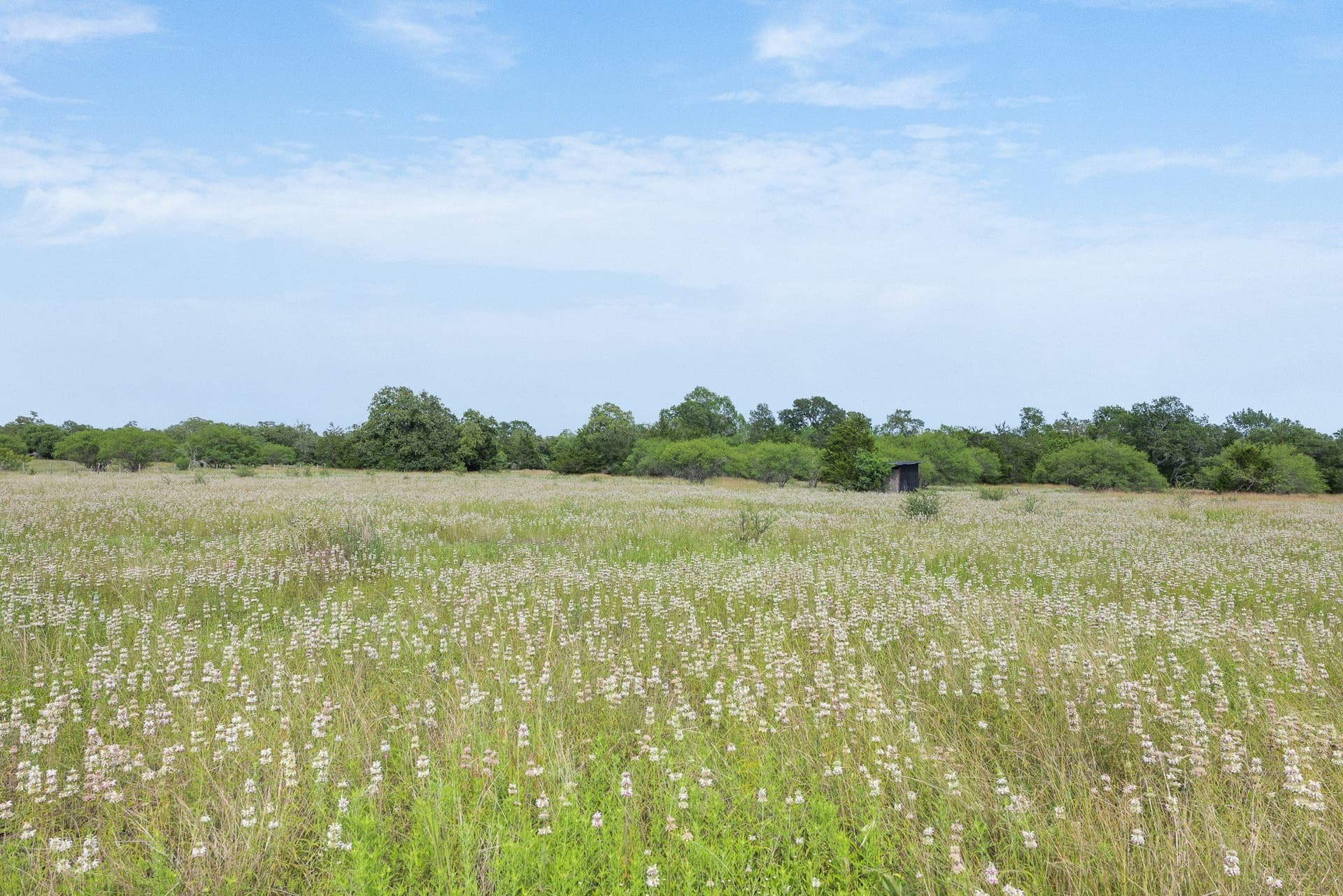 35 acres in Colorado County - photo 14