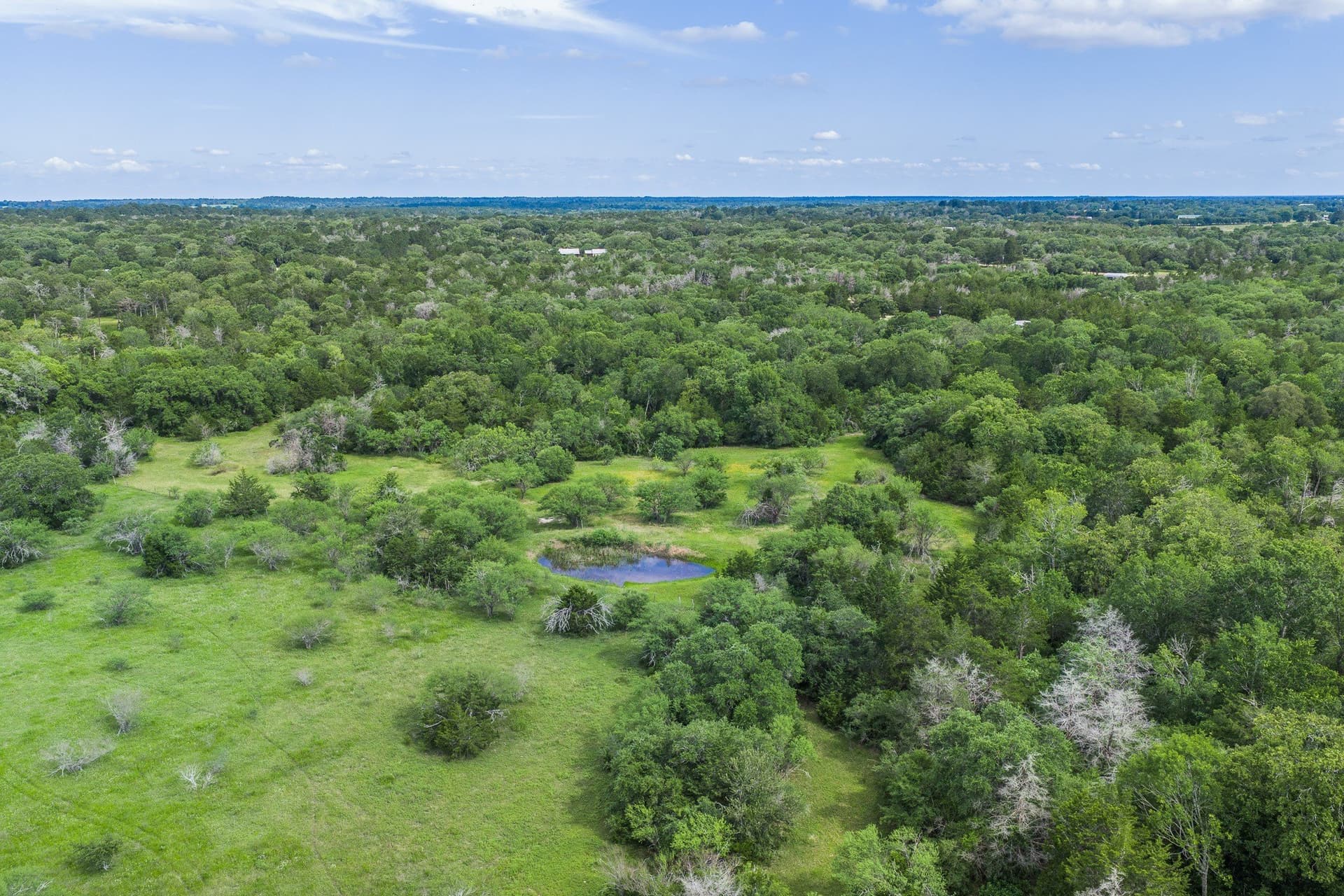 35 acres in Colorado County - photo 25